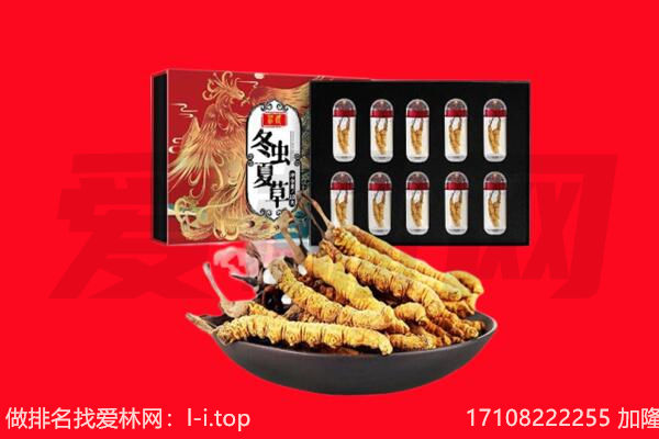 沈阳市康平回收虫草.jpg